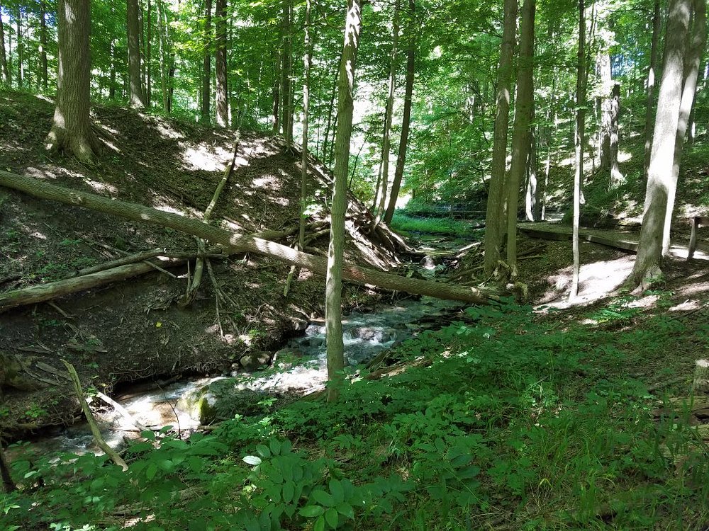 Kalamazoo Nature Center hiking trails and outdoor activities near Kalamazoo MI